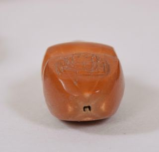 34 Antique or Vintage Chinese Carved Buddha Hediao Nut Beads 8