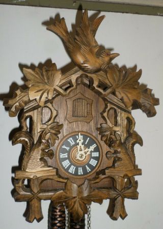 German Black Forest August Schwer Squirrels Bird Hand Carved Cuckoo Clock