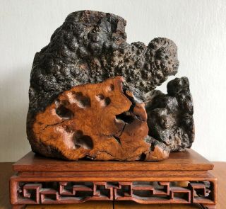 Old Antique Chinese Natural Root Burl Wood Stand.