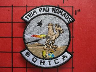 Air Force Squadron Patch Usafe 48 Fw Lakenheath Trim Pad Nomads,  F - 15