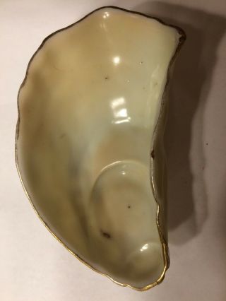 antique oyster plate 9