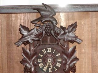 Quail Cuckoo Clock Great 2