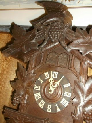 Quail Cuckoo Clock Great 3
