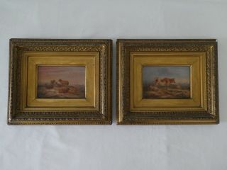 Antique Cow & Sheep Oil On Wood Panel Paintings