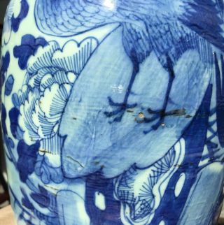 CHINESE PORCELAIN 19THC QING CELADON BLUE WHITE PHOENIX BALUSTER VASE 3