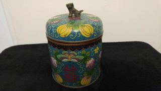 Antique Chinese Cloisonne Tobacco Humidor Box Jar With Foo Dog Lid