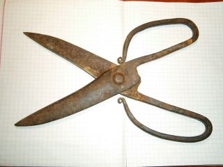 Wow Ancient Kievan Rus Viking Big Iron Scissors Tool Artifact Hand Shears