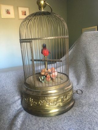 Helvetic French Victorian Singing Birdcage