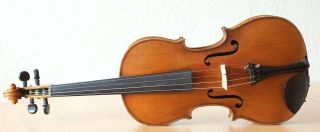 Very Old Labelled Vintage Violin " Matthias Albani " Fiddle 小提琴 ヴァイオリン Geige