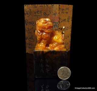 Very Rare And Old Chinese Shoushan Seal Foo Dog,  Natural Shoushan Stone,  Bicolor