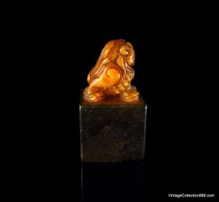 Very Rare and Old Chinese Shoushan Seal Foo Dog,  natural Shoushan stone,  bicolor 3