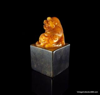Very Rare and Old Chinese Shoushan Seal Foo Dog,  natural Shoushan stone,  bicolor 5
