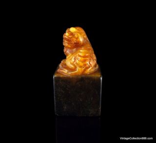 Very Rare and Old Chinese Shoushan Seal Foo Dog,  natural Shoushan stone,  bicolor 6