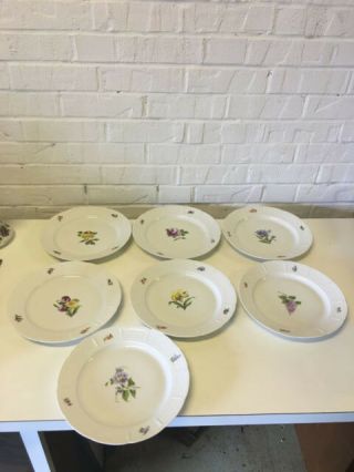Vtg Antique German Nymphenburg Porcelain Set 7 Plates 9 3/4 " W/ Painted Flowers
