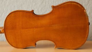 Old Violin 4/4 Geige Viola Cello Fiddle Label Аntonio Gagliano