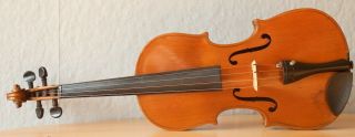 old violin 4/4 geige viola cello fiddle label АNTONIO GAGLIANO 2