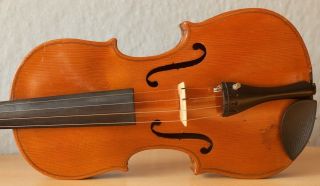 old violin 4/4 geige viola cello fiddle label АNTONIO GAGLIANO 3