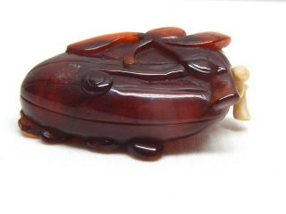 Antique 19th C.  Chinese Hand Carved Amber Snuff Bottle / Qing Dynasty 4