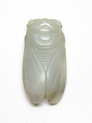Antique 19th C Chinese White Jade Hand Carved Cicada / Qing Dynasty