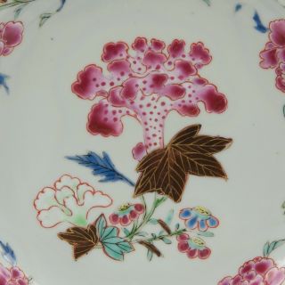 Chinese Famille rose porcelain plate,  hibiscus,  Qianlong period,  18th ct. 2