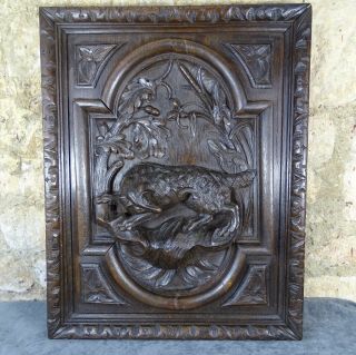 Antique French Deep Carved Oak Wood Door Panel - Hunting Dog Scene