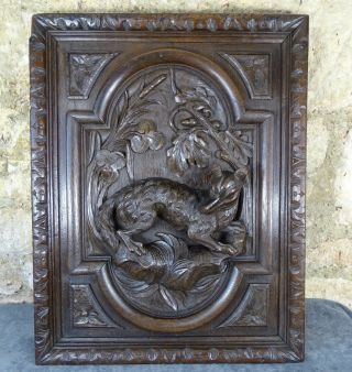 Antique French Deep Carved Oak Wood Door Panel - Black Forest Style - Hunting Dog