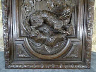 Antique French Deep Carved Oak Wood Door Panel - Black Forest Style - Hunting Dog 2