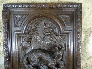 Antique French Deep Carved Oak Wood Door Panel - Black Forest Style - Hunting Dog 3