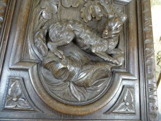 Antique French Deep Carved Oak Wood Door Panel - Black Forest Style - Hunting Dog 5