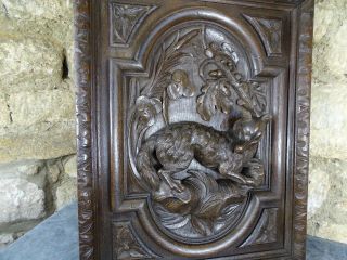 Antique French Deep Carved Oak Wood Door Panel - Black Forest Style - Hunting Dog 6