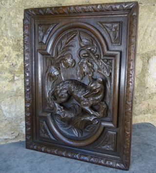 Antique French Deep Carved Oak Wood Door Panel - Black Forest Style - Hunting Dog 7