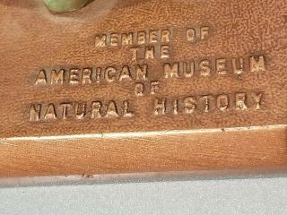 SRG DINOSAUR FIGURE STATUE MEMBER AMERICAN MUSEUM NATURAL HISTORY PAPERWEIGHT 2