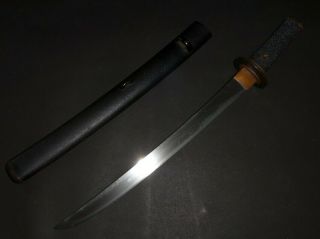 Wakizashi (sword) W/koshirae : Edo : 20.  1 × 14.  6 " 620g