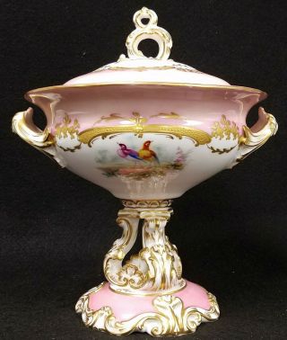 Antique Old Paris Porcelain Covered Compote Candy Dish Hand Painted Birds 2