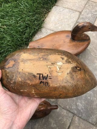 Antique Three Primitive Wood Carved Decoy Ducks Signed 5