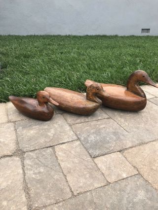 Antique Three Primitive Wood Carved Decoy Ducks Signed 8