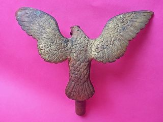 Antique 19th C American Eagle Flag Poll Topper Gilt Bronze Federal Spread Wing 5
