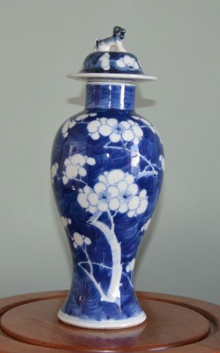 Chinese 19th Century Blue And White Prunus Covered Vase.  Signed 4 Character Mark