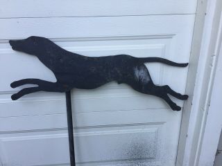 Antique Vtg 1800s Black Greyhound Dog Iron Weather Vane 36” X 41” England Old 2