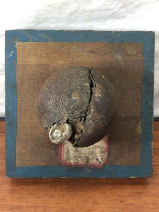 Vintage 1863 Gettysburg,  Pa.  Civil War Shot Bullet Fragment Relic Stuck In Wood