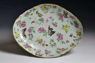 19th Century Chinese Export Famille Rose Porcelain Footed Serving Platter 2