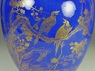 Antique Chinese Powder Blue Glazed Porcelain Jar with Gilt Design 4