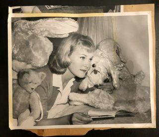 1950 ' s Antique Teddy Bear - Pictured with 1961 Rose Bowl Princess 3