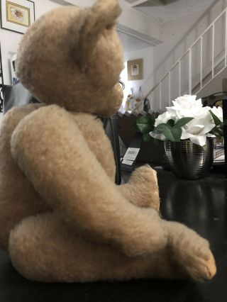1950 ' s Antique Teddy Bear - Pictured with 1961 Rose Bowl Princess 6