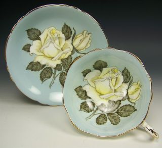 Paragon Huge White Cabbage Roses Tile Tea Cup And Saucer