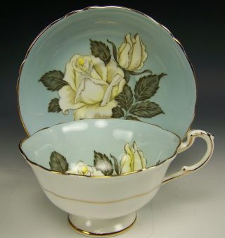 PARAGON HUGE WHITE CABBAGE ROSES TILE TEA CUP AND SAUCER 2