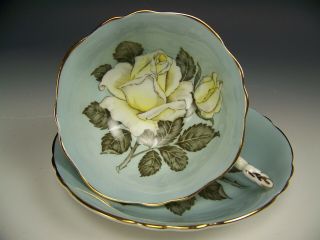 PARAGON HUGE WHITE CABBAGE ROSES TILE TEA CUP AND SAUCER 4