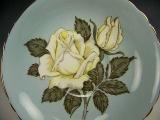 PARAGON HUGE WHITE CABBAGE ROSES TILE TEA CUP AND SAUCER 5