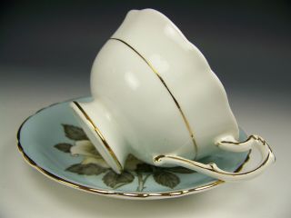 PARAGON HUGE WHITE CABBAGE ROSES TILE TEA CUP AND SAUCER 6