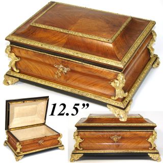 Antique French Tahan? 12.  5 " Jewelry Or Sewing Box,  Chest,  Kingwood,  Gilt Ormolu